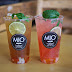 Oct. 28 - 29 | BOGO Free All Drinks @ Mio Tea House - Garden Grove