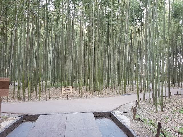 kyoto arashiyama bamboo grove