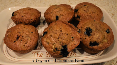 Zucchini Blueberry Muffins