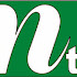 NTV Live