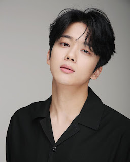 Profil Dan Perjalanan Karir Yoo Young-Jae Pemeran Kim Hwan "Mr.Queen"