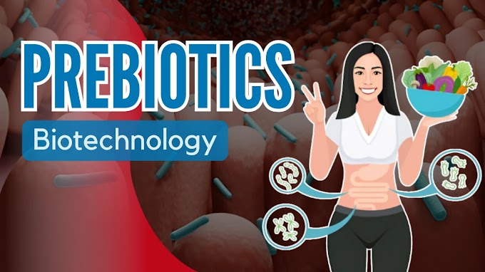 Prebiotics: Sources, Mechanisms, Types, and Roles