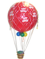 Hot Air Balloon Net5