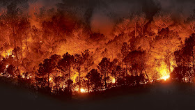 Incendios forestales