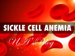 New law: No marriage without sickle cell-free certificate in Anambra