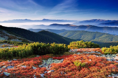 farewell-to-fall