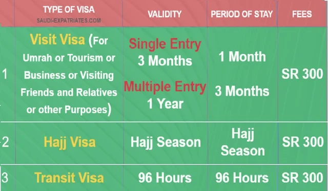 Saudi Visit Visa, Hajj Visa, Umrah Visa, Transit Visa for 300 SR