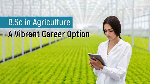 B.Sc in Agriculture: A Vibrant Career Option