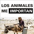 Apoya la Declaración Universal para el Bienestar de los Animales