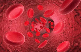Penyebab dan Cara Mengatasi Pengentalan Darah Secara Alami
