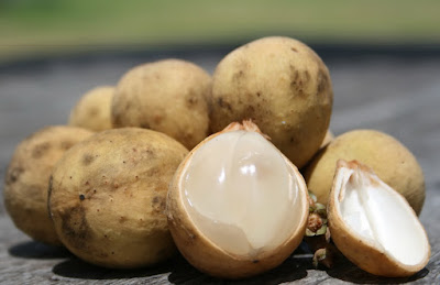 Health Benefits of  Langsat (Lanzones) For Beauty and Body