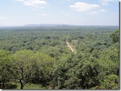 DSC00900
