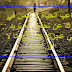 اجمل العبارات عن الحياة