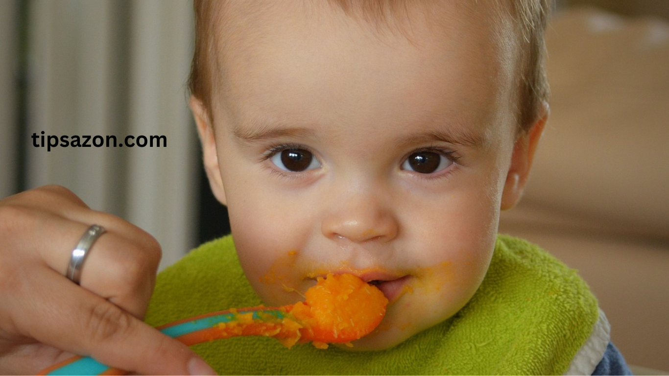 Best Food For Baby Brain Development