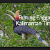 kunci nada Lagu Daerah Kalimantan Timur Burung Enggang Video music
