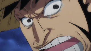 ワンピースアニメ 赤鞘九人男 ONE PIECE Nine Red ScabbardsEpisode 977