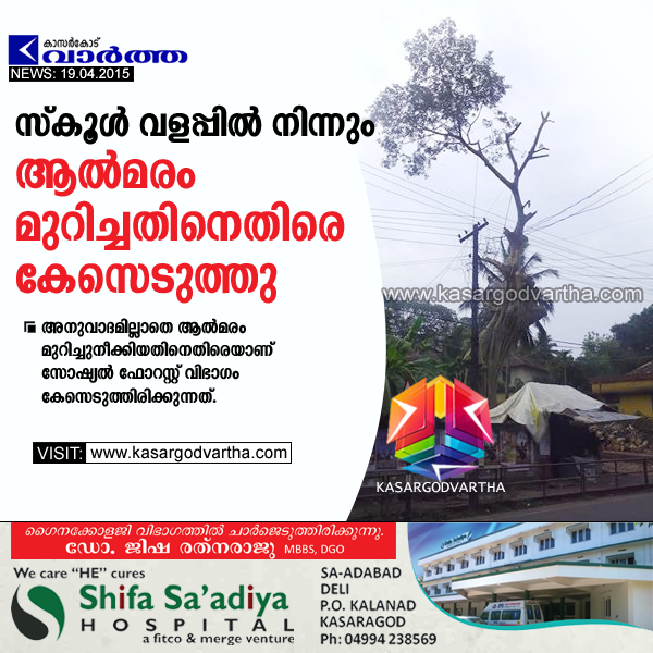 Kasaragod, Kerala, case, school, Banyan tree, Forest Range officer, 