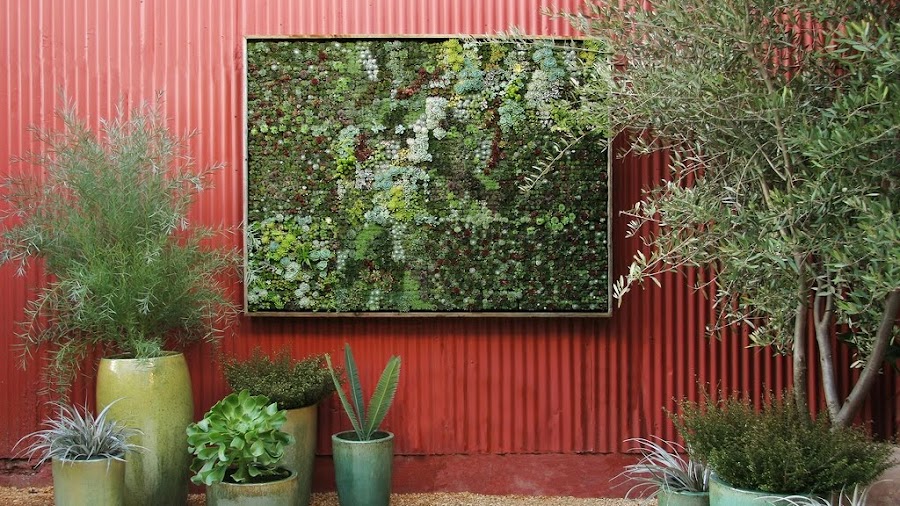 Consejos para instalar un jardín vertical interior