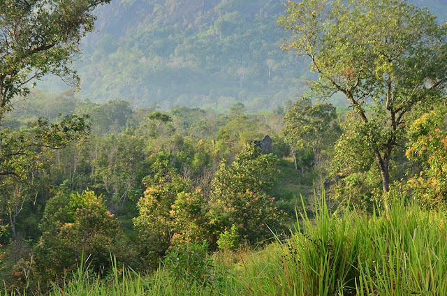 Desentralisasi dan Privatisasi Taman Nasional.lelemuku.com.jpg