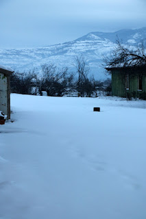 Looking along the patio