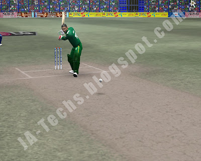 Remove Helmet of Batsmen in EA Cricket 07 - Ingame Screenshot 2