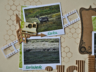 Scrapbooking: Denali Wildlife