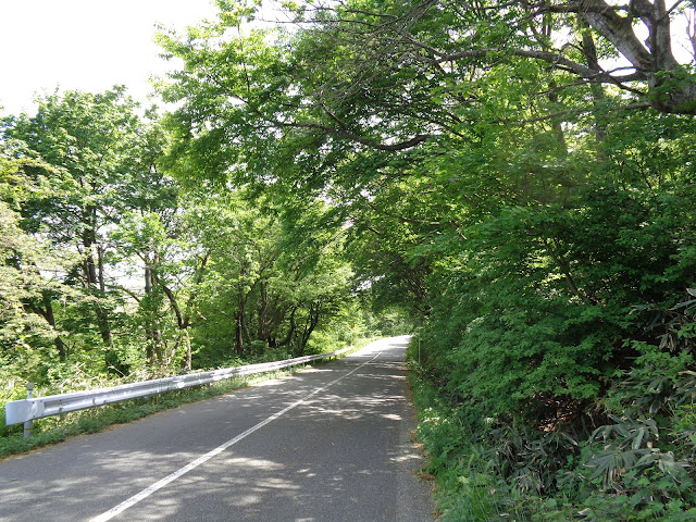 大山環状道路を帰ります