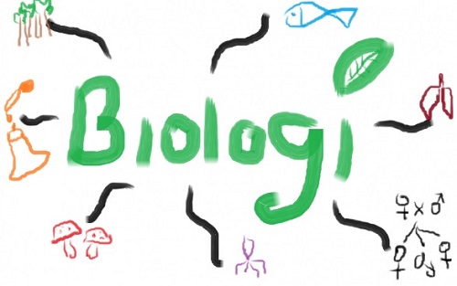 soal essay biologi kelas 10 semester 2 dan jawabannya, soal pat biologi kelas 10 semester 2, materi biologi kelas 10 semester 2