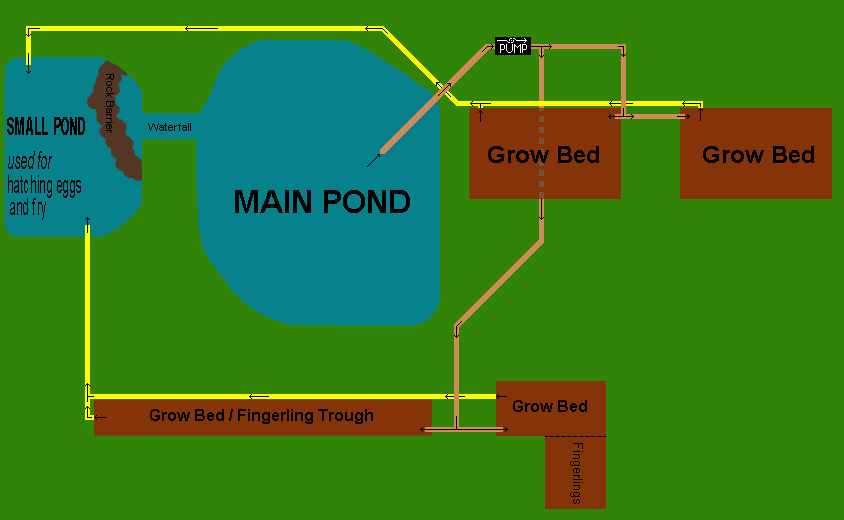 Backyard Biology: A Backyard Aquaponic Pond System