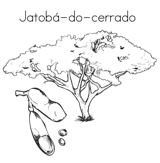 Blog de Geografia Jatobádocerrado Desenho para Imprimir e Colorir