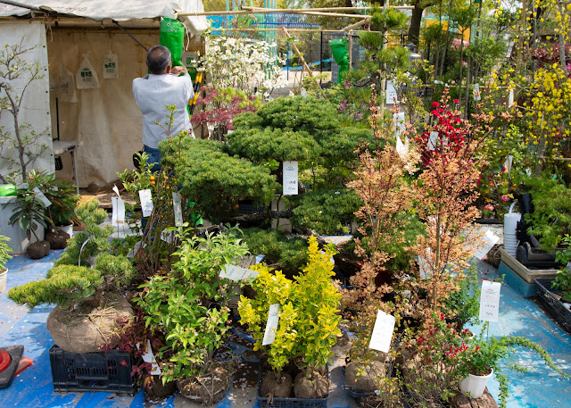 Markets near Osaka Castle