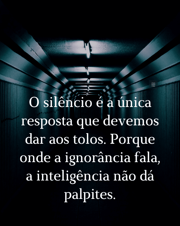 O silêncio é a única resposta que devemos dar aos tolos. Porque onde a ignorância fala, a inteligência não dá palpites.