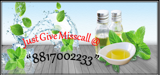 Mentha Oil Rate