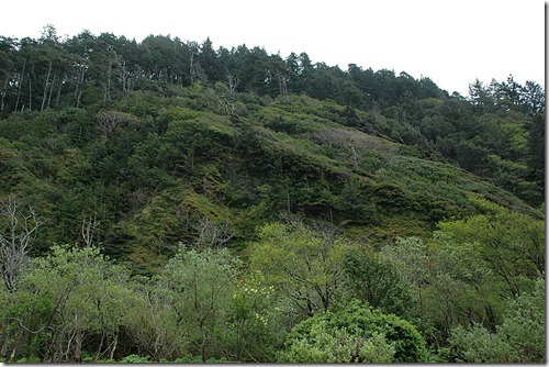 Humbug Mountain View