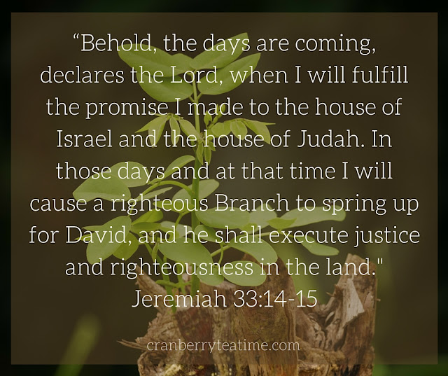 “Behold, the days are coming, declares the Lord, when I will fulfill the promise I made to the house of Israel and the house of Judah. In those days and at that time I will cause a righteous Branch to spring up for David, and he shall execute justice and righteousness in the land." Jeremiah 33:14-15