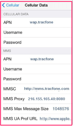 Telcel America APN settings for iOS