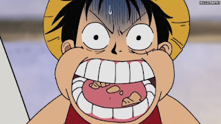 ワンピース アニメ 146話 ルフィ チェリーパイ Monkey D. Luffy | ONE PIECE Episode 146