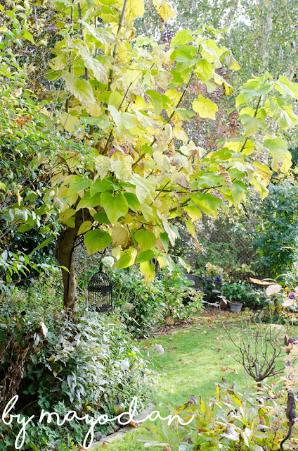 Herbstgarten