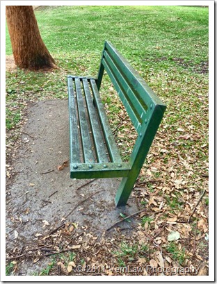 ParkBenchp1020499