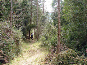Senderismo - Coll de la Creu - Punta Boixet - Alt de la Coscollosa - Barranc de la Coscollosa