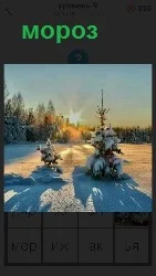  в морозное утро светит солнце и елка стоит в снегу