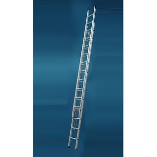 wall support extendable ladder