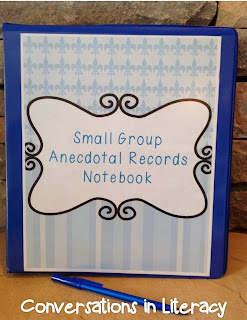 anecdotal records notebooks