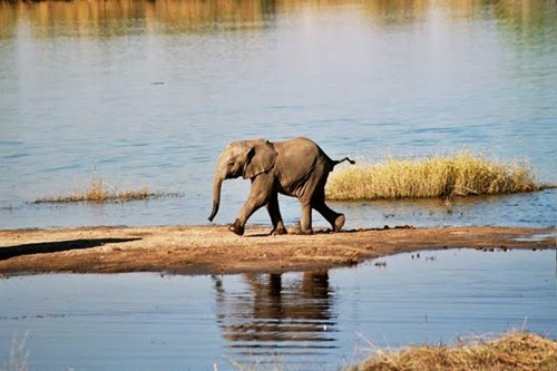 10 công viên quốc gia hoang dã nhất châu Phi