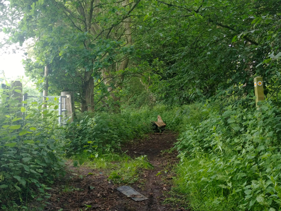 The footpath at the end of the old Dellsome Lane