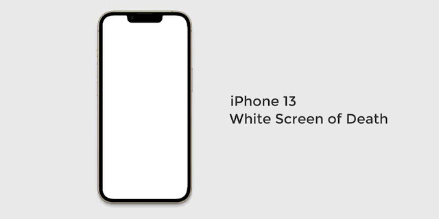 iPhone 13 Pro Max screen "Blank White Screen" During the IOS Update Process