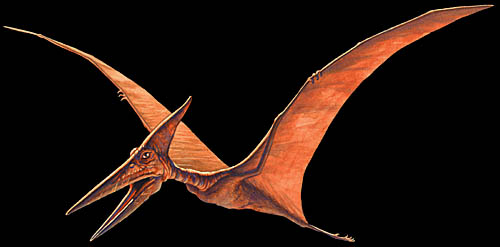 Aku Tahu Pteranodon... Reptil Terbang