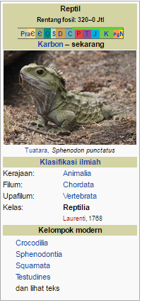  Ciri  Ciri  Morfologi  Dan Anatomi Berbagai Hewan  Vertebrata  