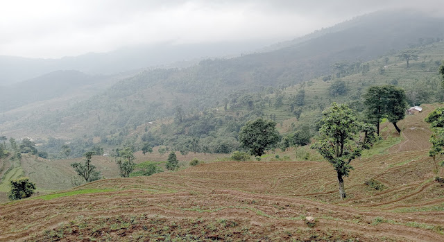 Agricultural field in Nepal- 5 pictures