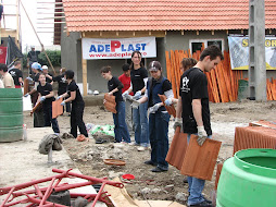 Imagini de la voluntariat